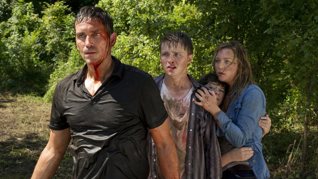 Транзит backdrop 2