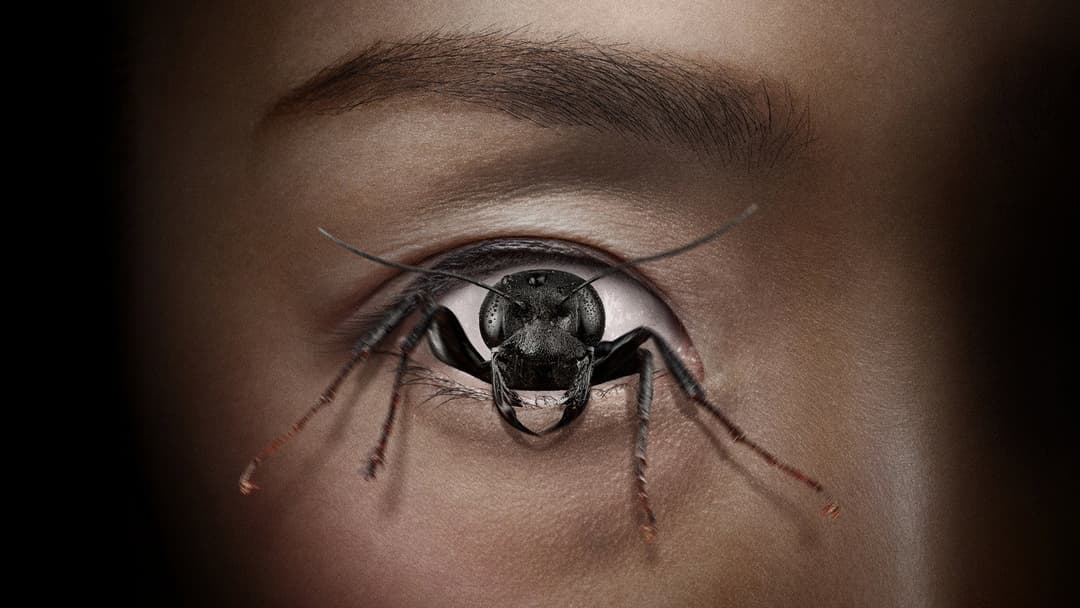 Control Freak backdrop 5