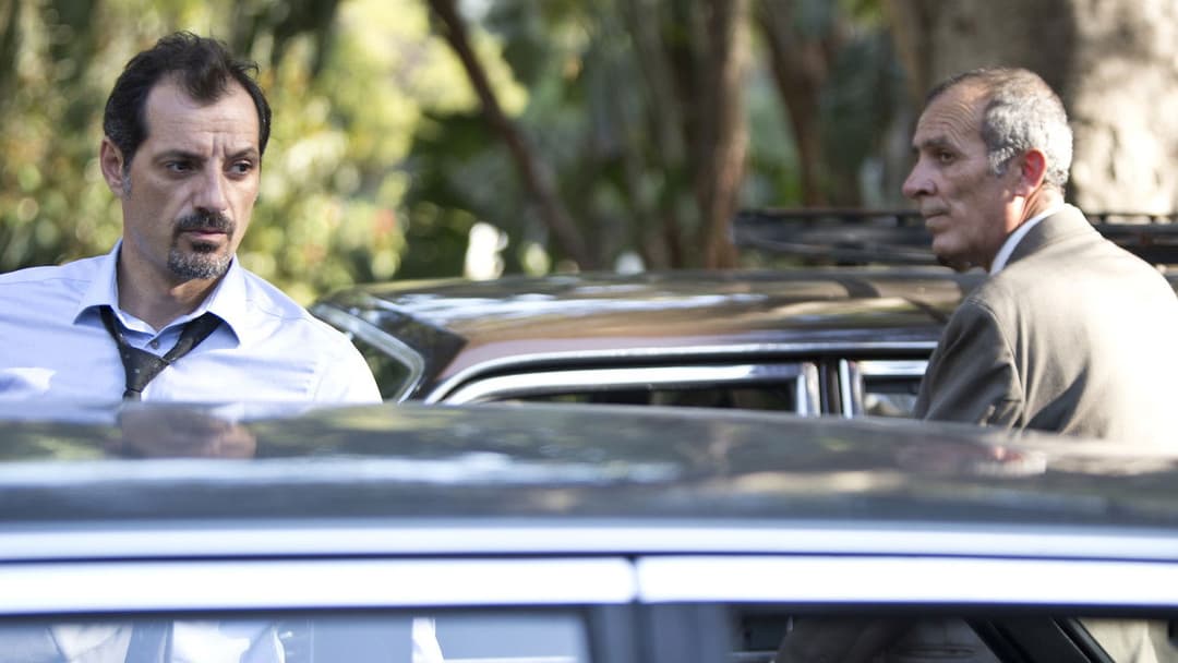 Образа backdrop 5