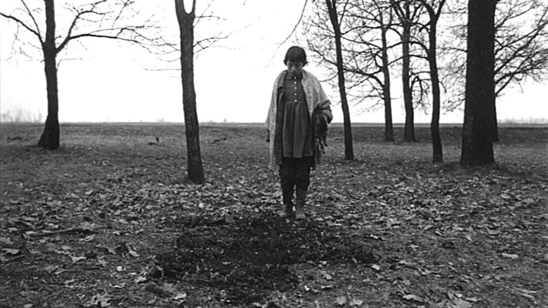 Sátántangó backdrop 20