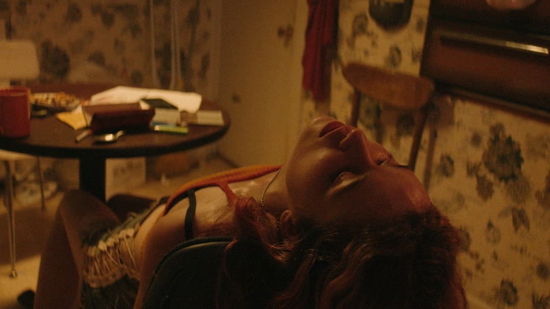 Торговці тілами backdrop 4