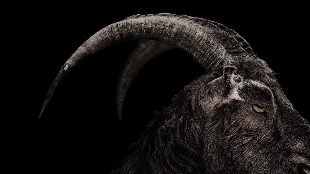 Відьма: Нова англійська казка backdrop 9