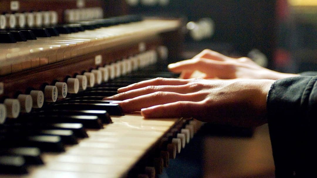 Август Раш backdrop 8