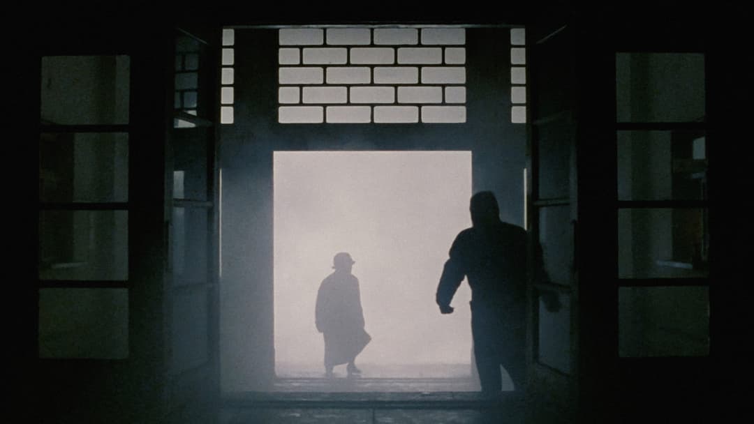 Після життя backdrop 2