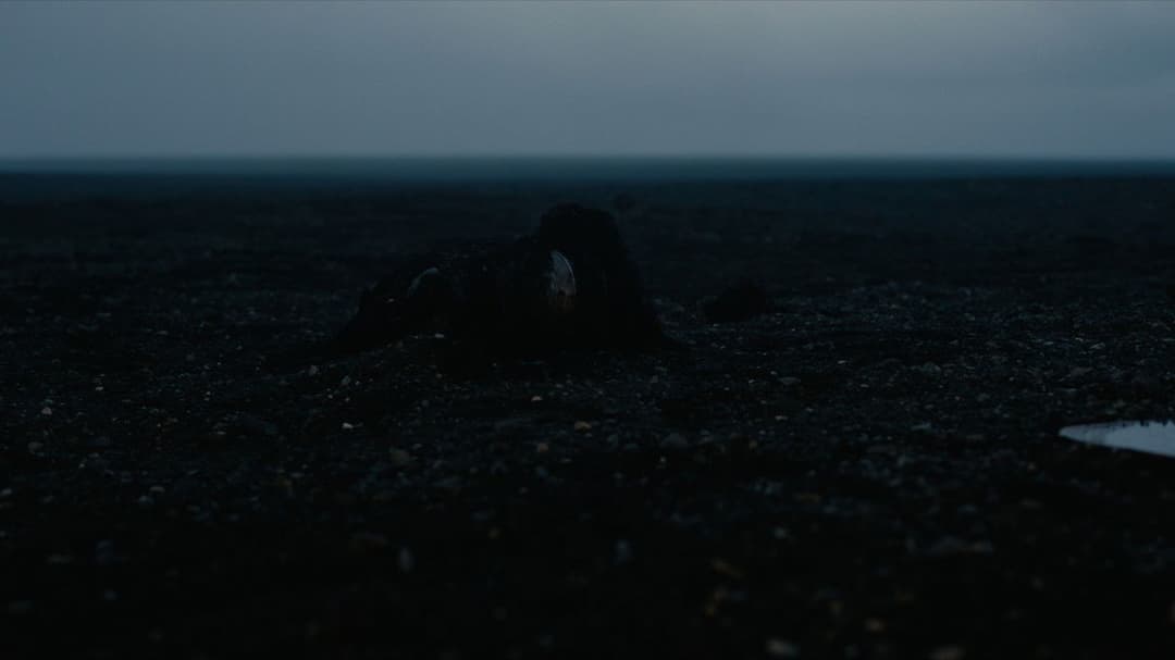 The Odyssey backdrop 16