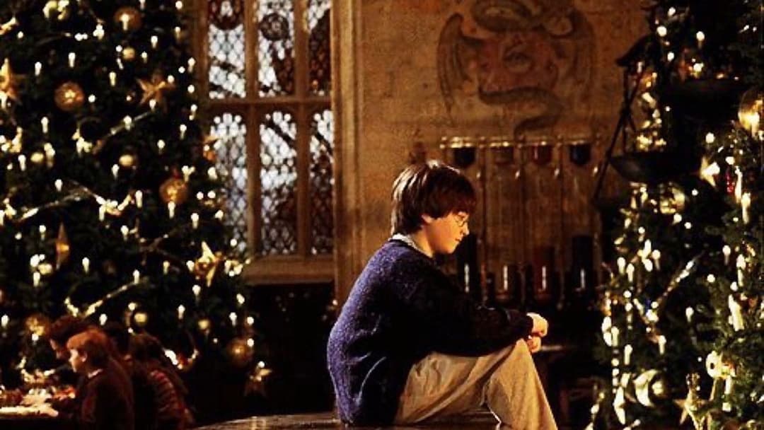 Harry Potter und der Stein der Weisen backdrop 12