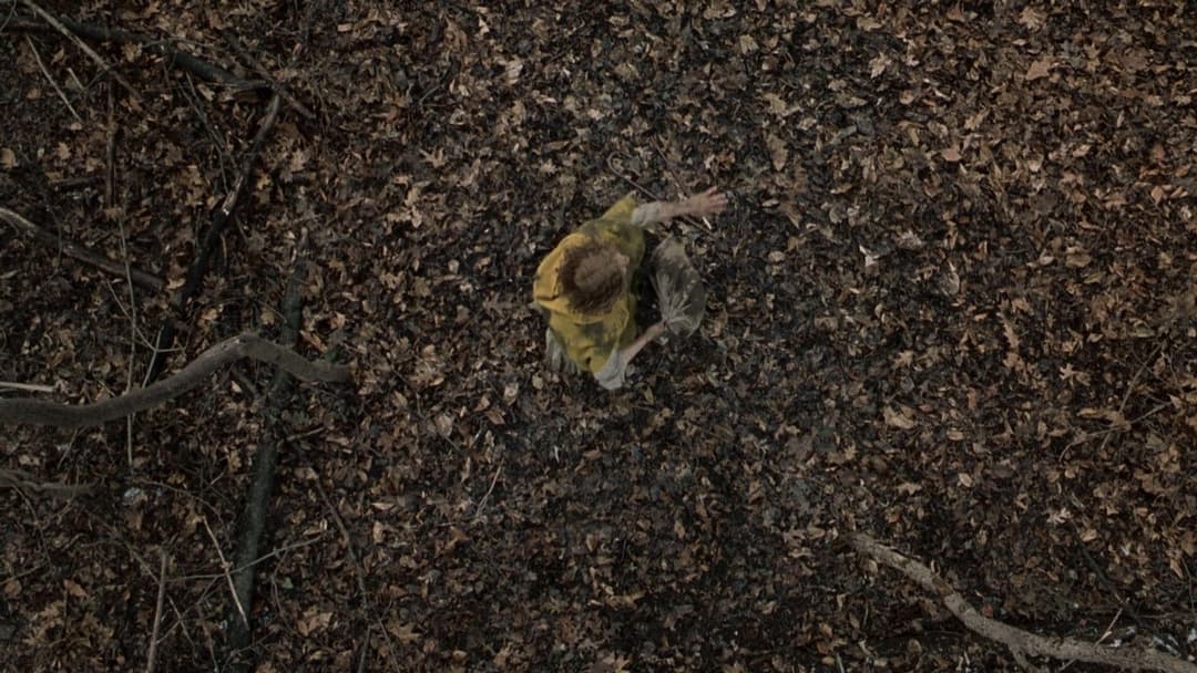 Таємничий ліс backdrop 20