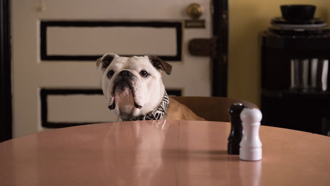 Патерсон backdrop 16