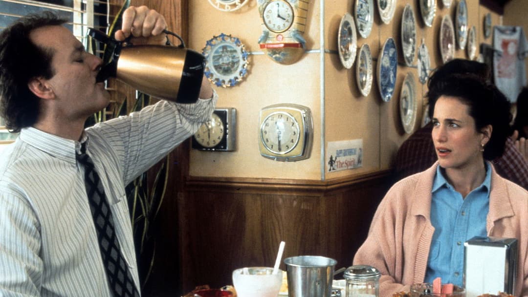 День бабака backdrop 4