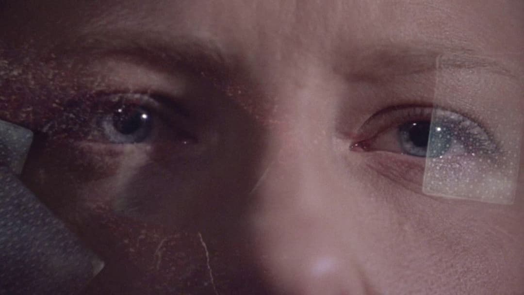 The Gift - Die dunkle Gabe backdrop 10