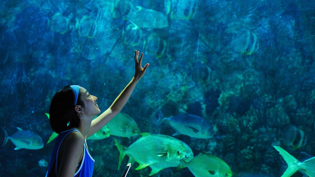 Рай океан backdrop 1