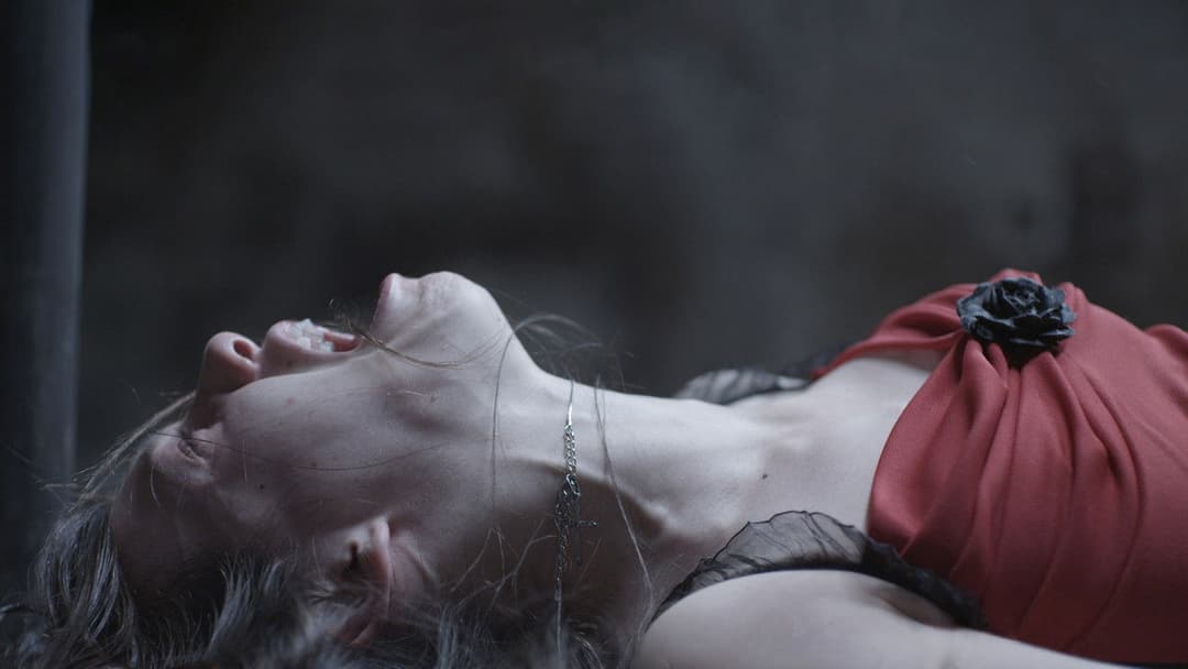 Я плюю на ваші могили 2 backdrop 12