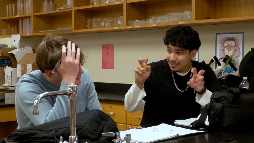 The End of The Punchline backdrop 1