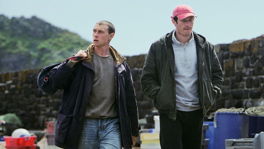 Троянда Невади backdrop 2