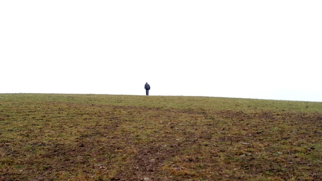 Calvaire - Tortur des Wahnsinns backdrop 3