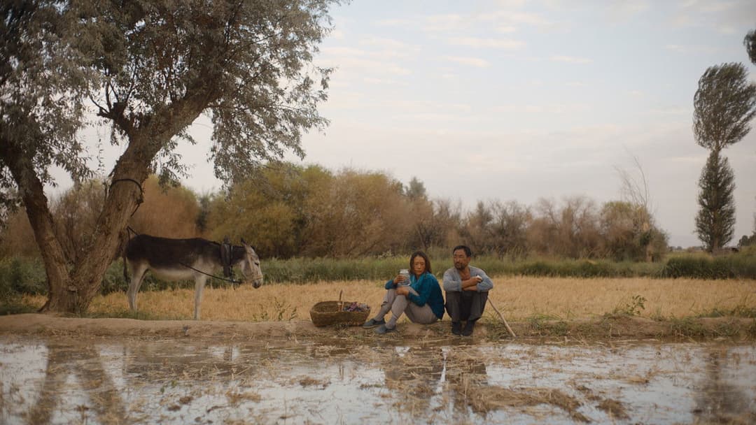 Return To Dust backdrop 12