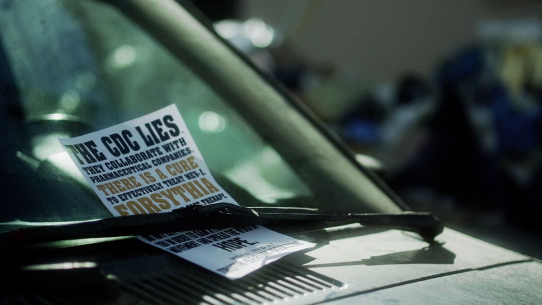 Зараза backdrop 15