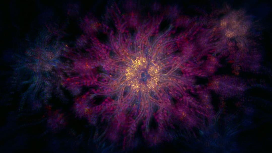 Вхід в порожнечу backdrop 18