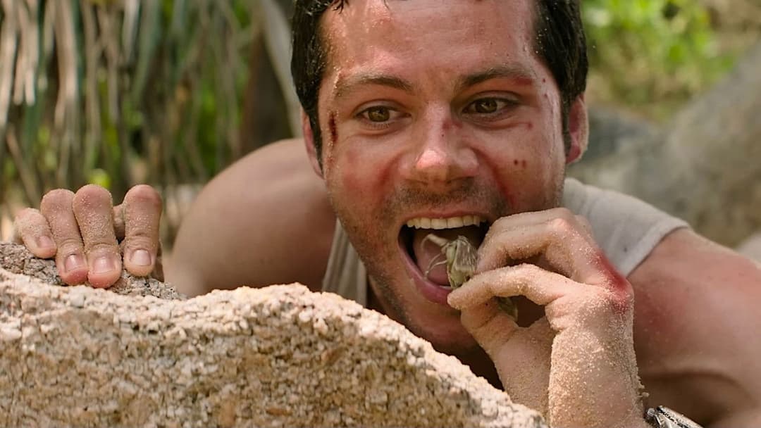 Допоможіть backdrop 19