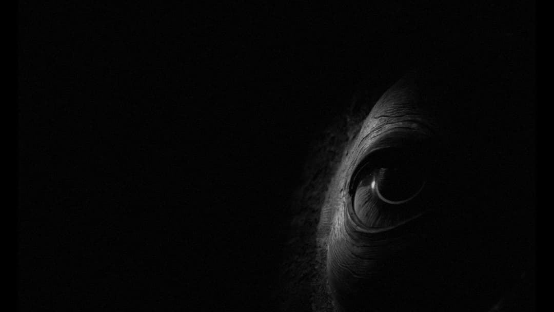 Die Werckmeisterschen Harmonien backdrop 12