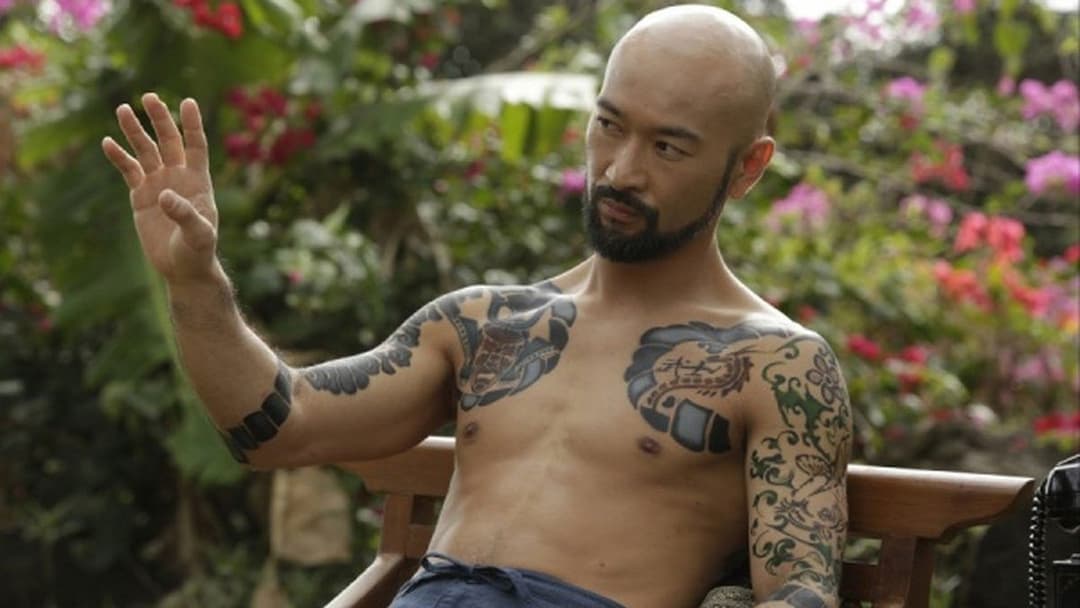 Falcon Rising backdrop 10