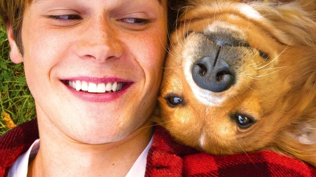 Bailey - Ein Freund fürs Leben backdrop 1