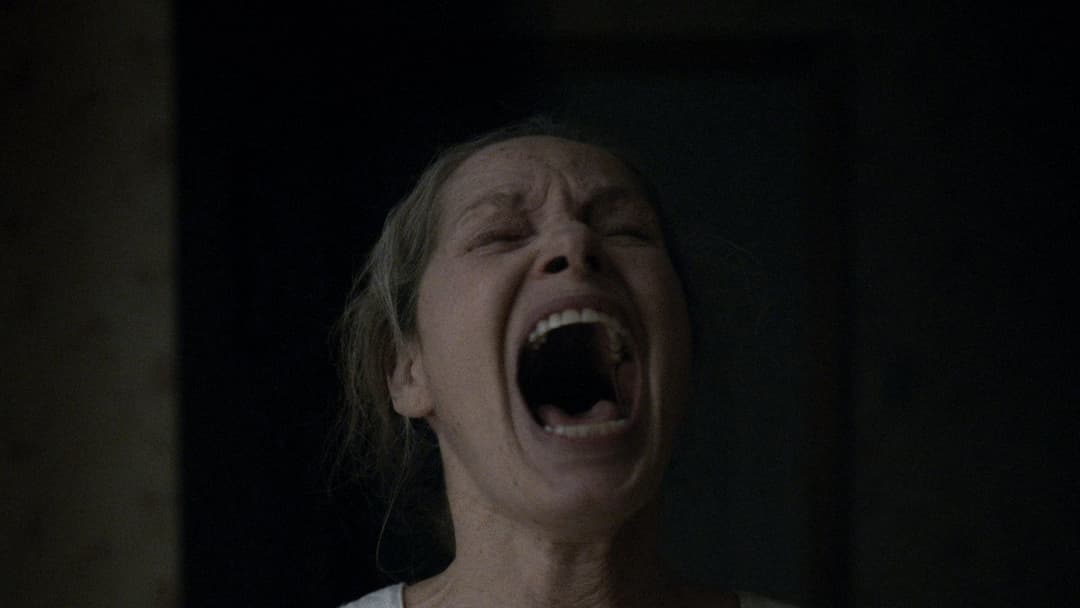 undertone backdrop 13