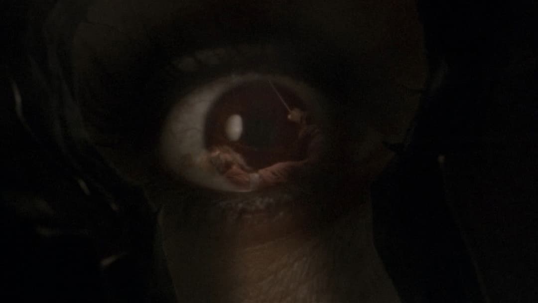 Wrong Turn backdrop 8