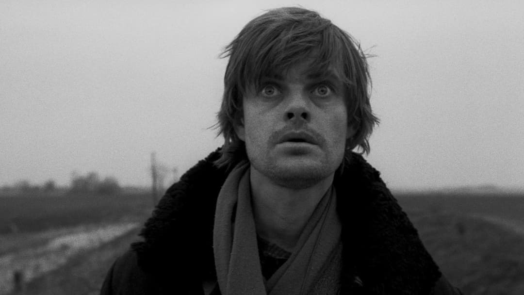 Die Werckmeisterschen Harmonien backdrop 5