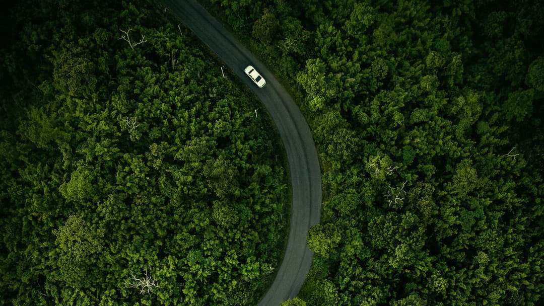 Hillbilly-Elegie backdrop 9