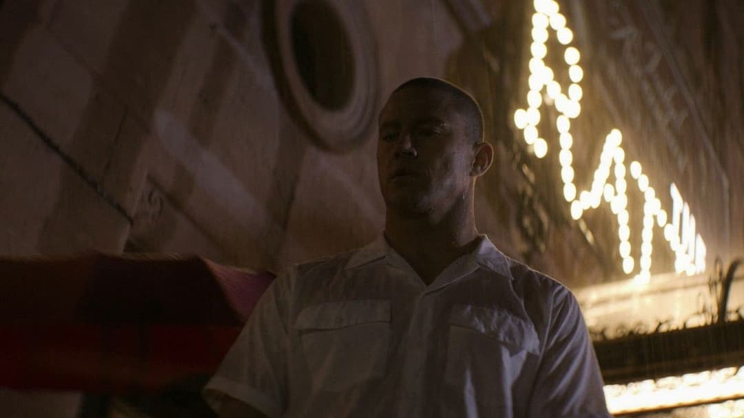 Magic Mike: The Last Dance backdrop 15