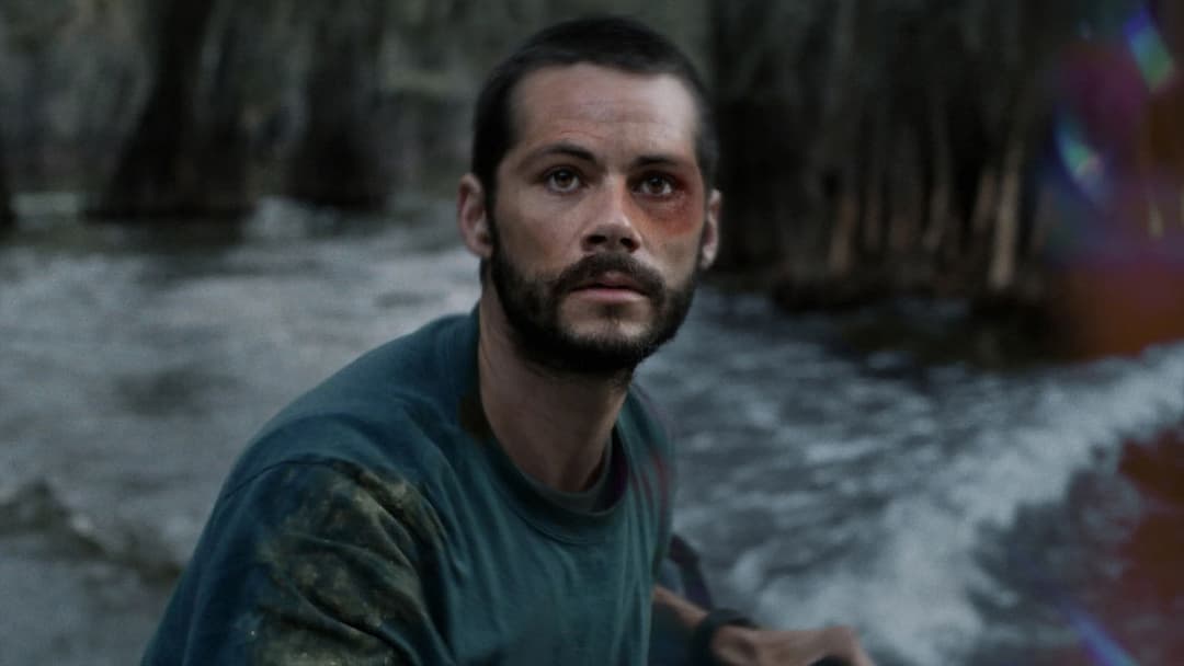 Caddo Lake backdrop 3