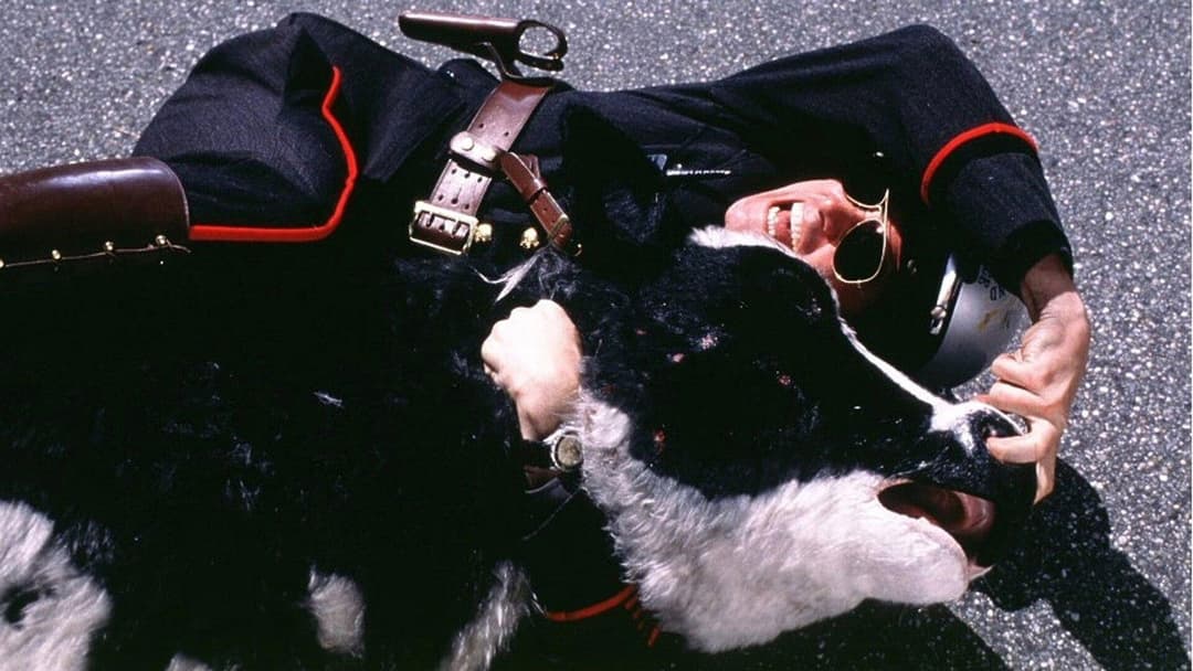 Я, знову я та Ірен backdrop 19