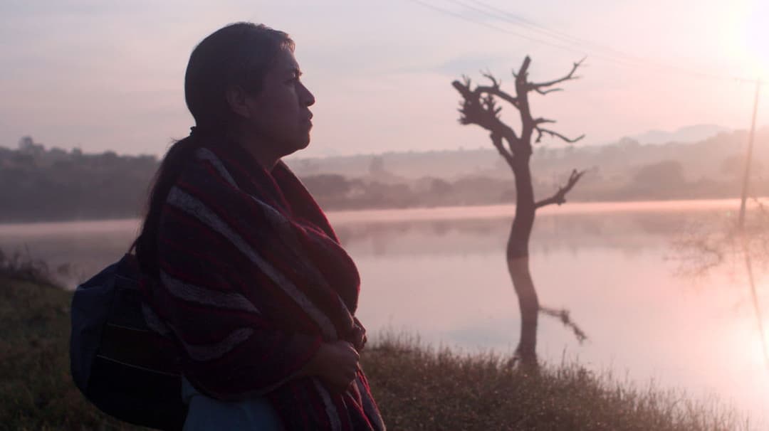 Особливі прикмети backdrop 8