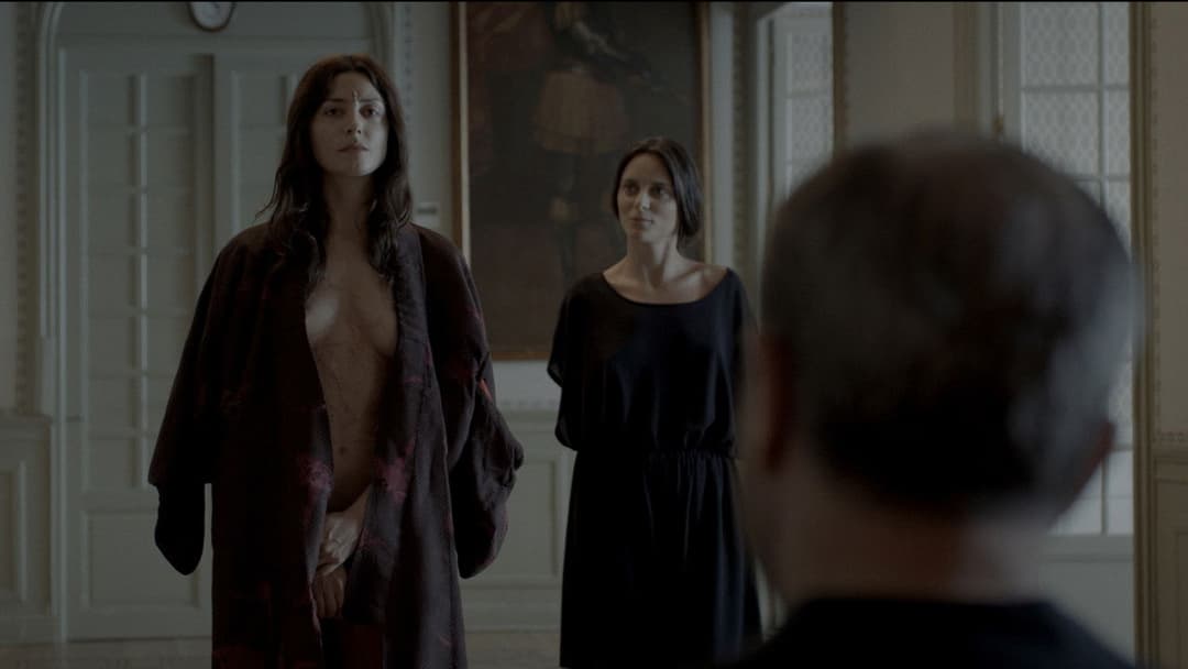 Чарівна дівчина backdrop 12