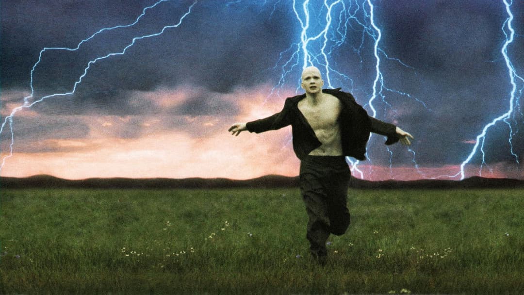 Пудра backdrop 4