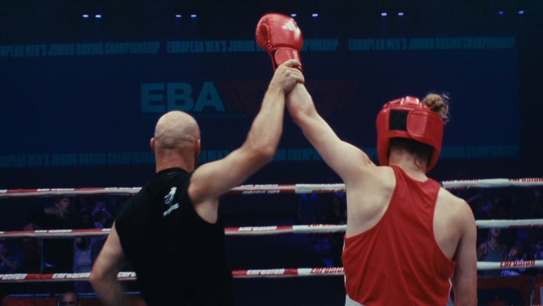 Wild Foxes backdrop 4