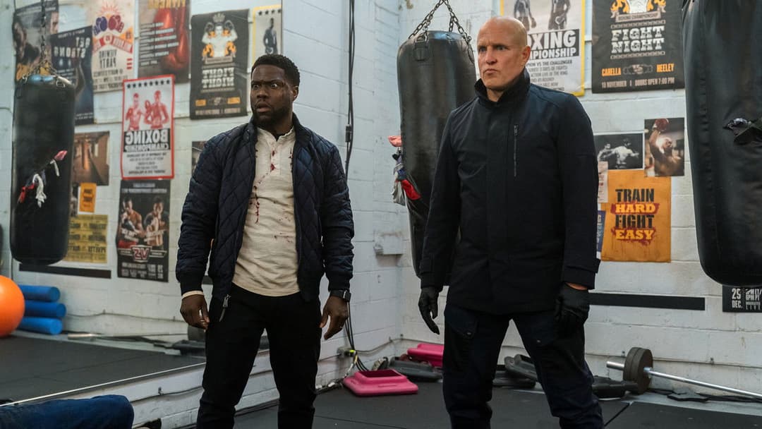 The Man from Toronto backdrop 2