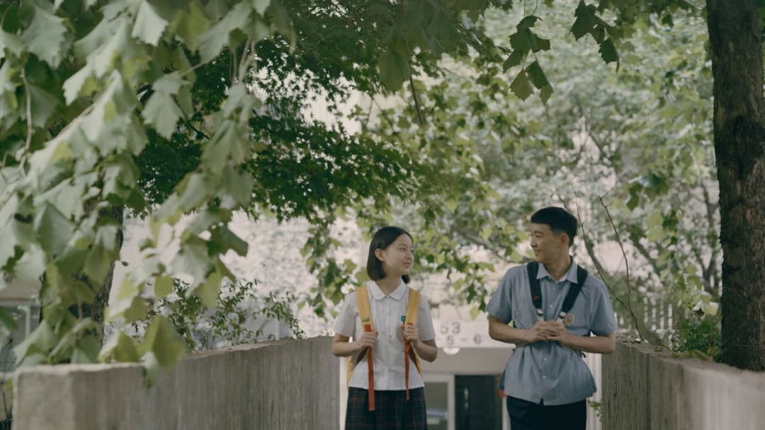 Будинок колібрі backdrop 13