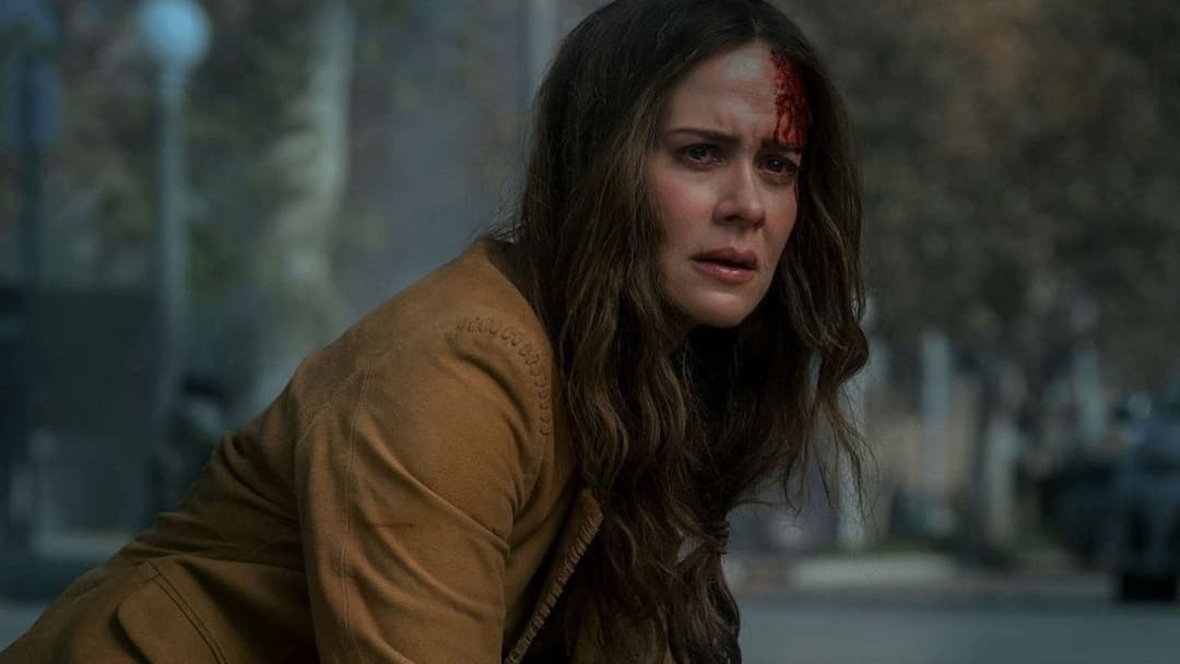 Пташиний короб backdrop 14