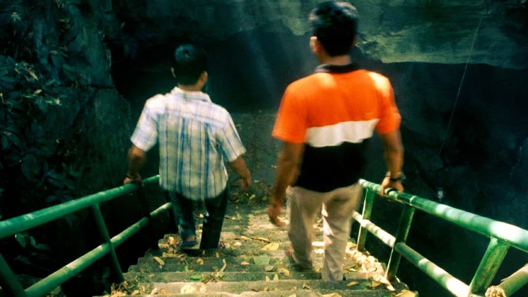 Tropical Malady backdrop 6