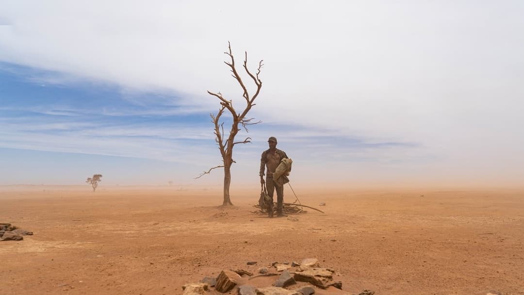 Золото backdrop 3