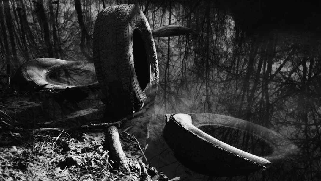 The Trail backdrop 8