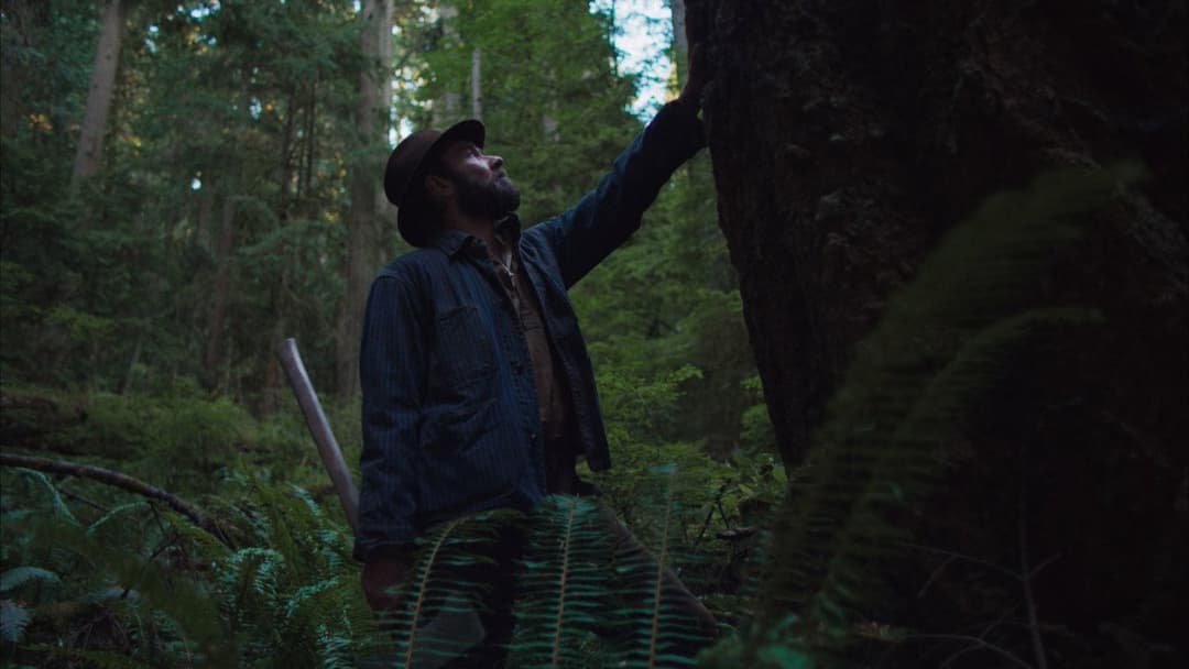 Train Dreams backdrop 20