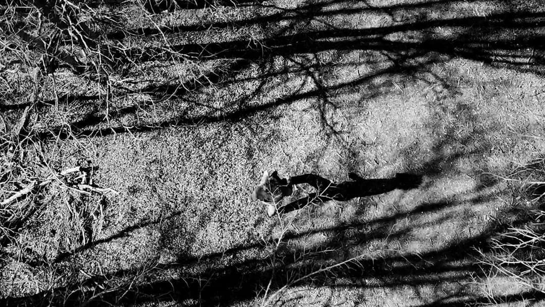 The Trail backdrop 15