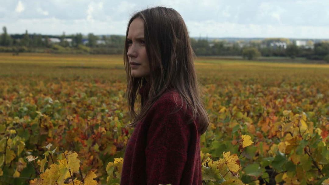 Der Wein und der Wind backdrop 14