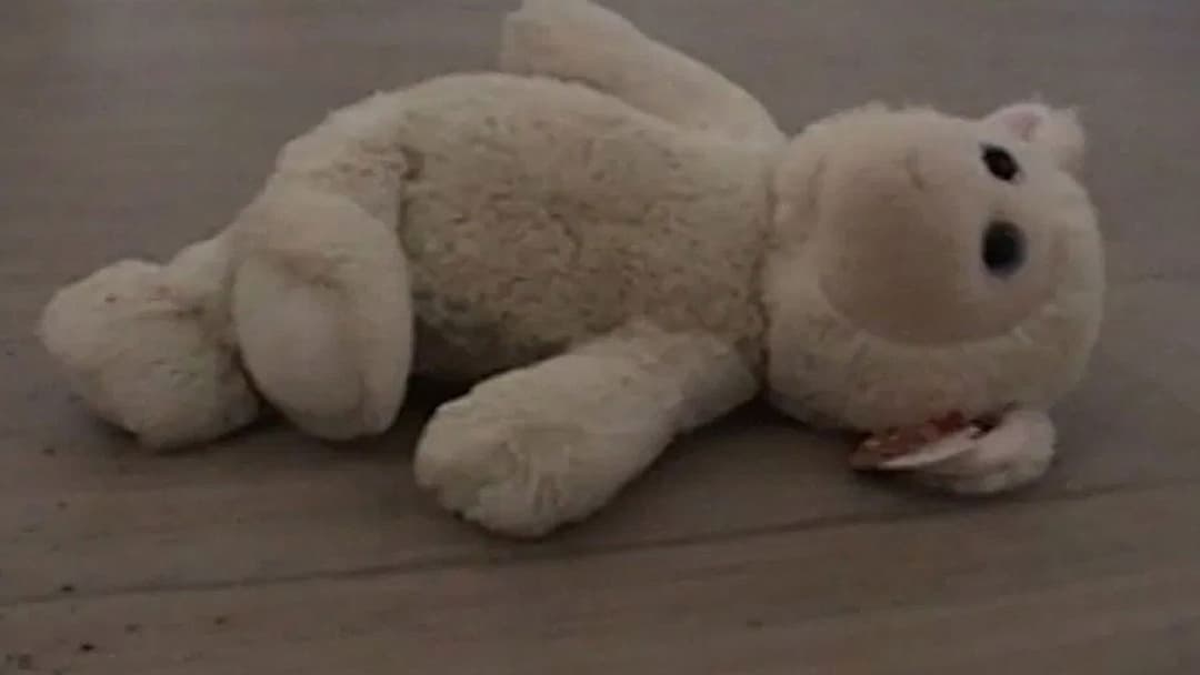 Castration Movie Anthology iii. Year of the Hyaena backdrop 8