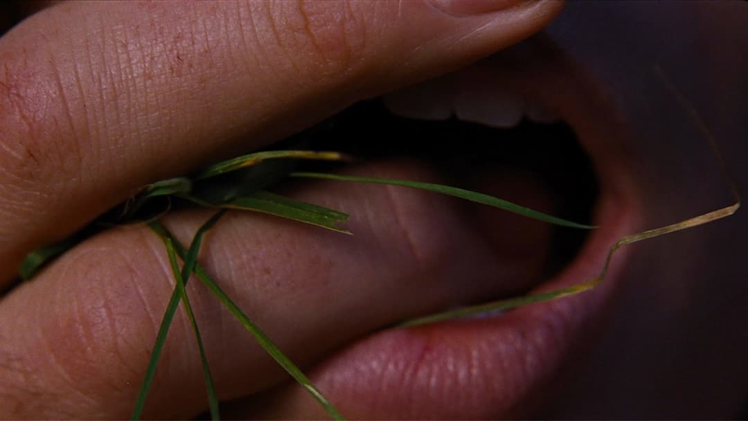 “Wuthering Heights” – Sturmhöhe backdrop 14