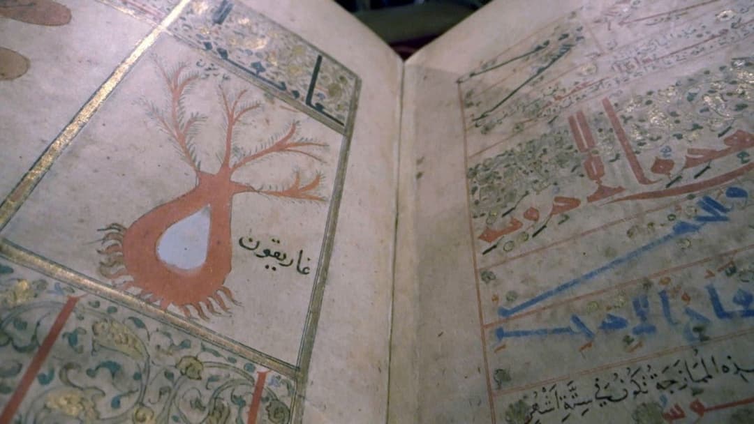 Das vergessene Erbe der arabischen Heilkunst backdrop 6