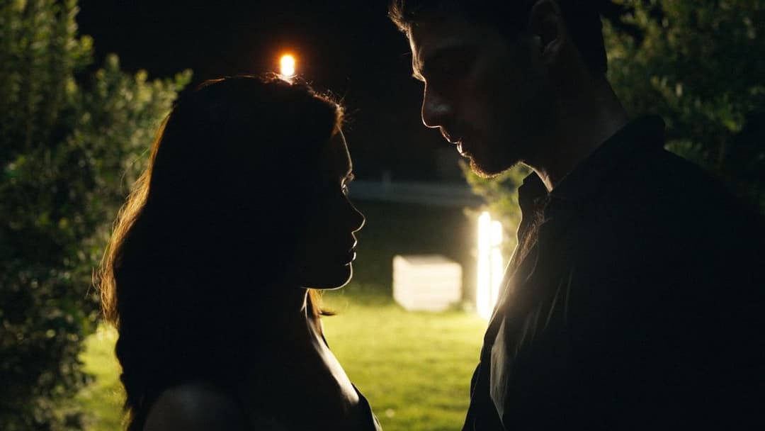 365 днів backdrop 11